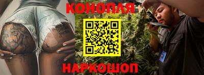 прущие грибы Ангарск