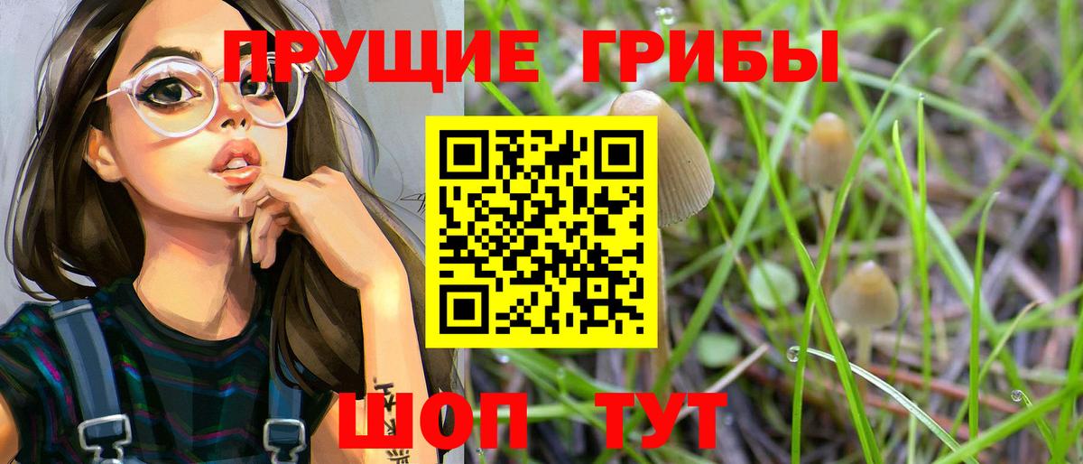 Галлюциногенные грибы Psilocybine cubensis Борзя